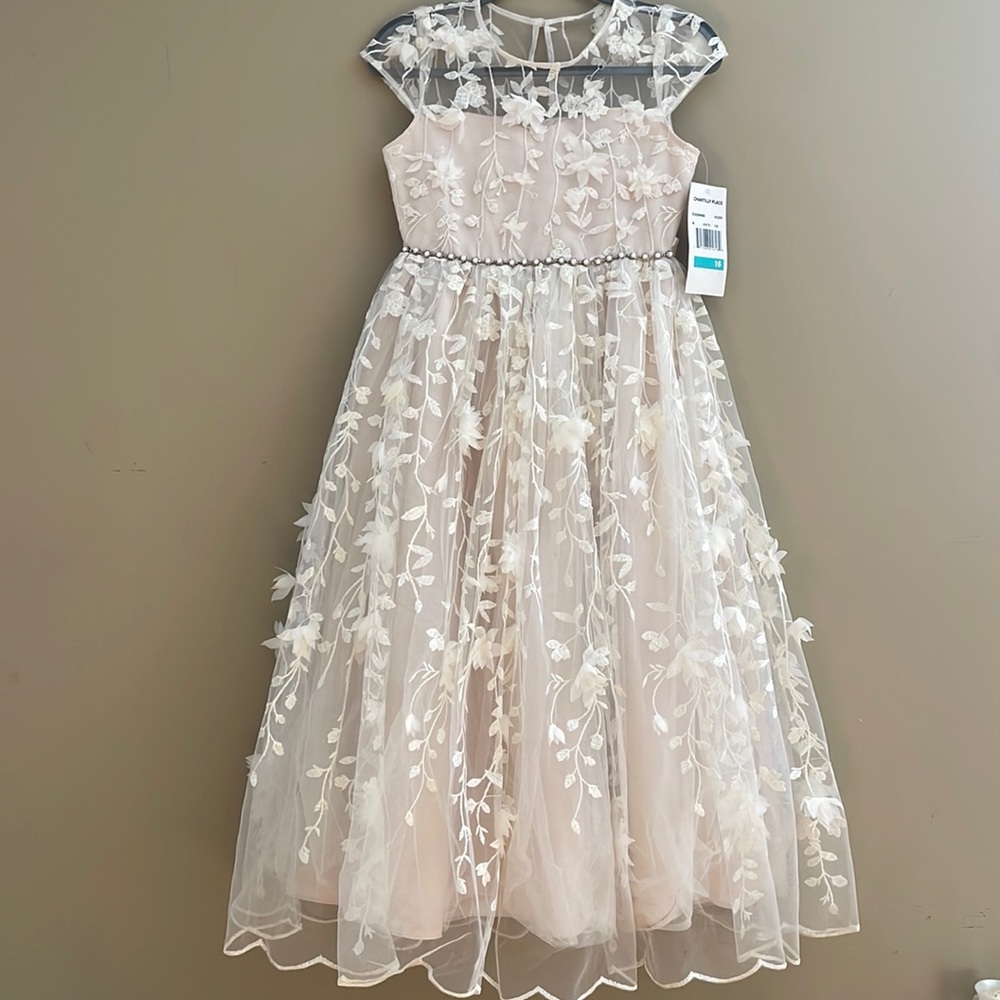 Girls Gorgeous Special Occasion Dress